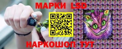 ГАЛЛЮЦИНОГЕННЫЕ ГРИБЫ Тара