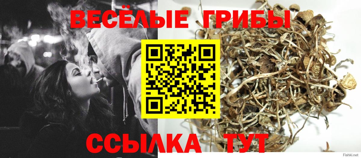 Астрахань  Псилоцибиновые грибы мицелий  Вход с VPN  дарнет шоп  Галлюциногенные грибы GOLDEN TEACHER 